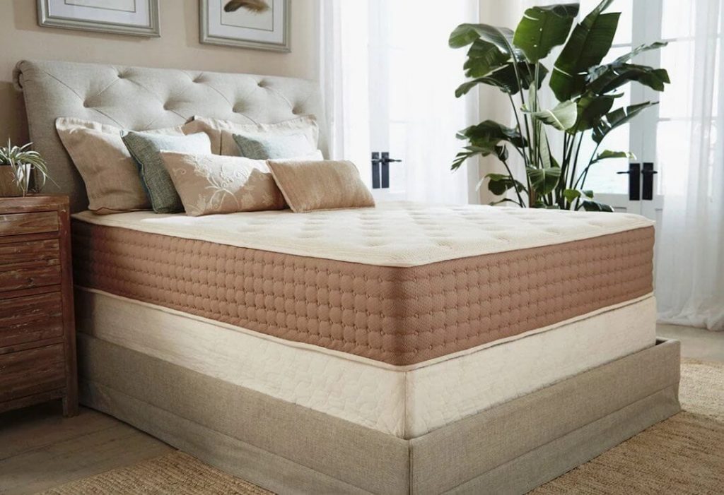 Looking For an Eco Terra Mattress Review?