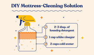 How to Get Cat Urine Smell Out of Mattress